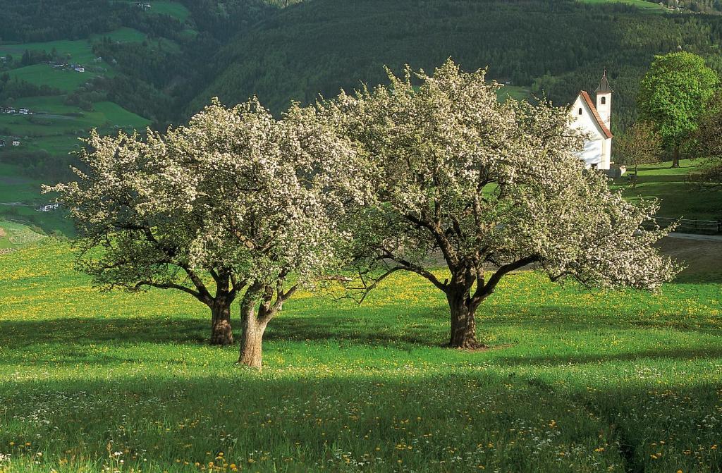 Hotel Tyrol Ora / Auer Εξωτερικό φωτογραφία